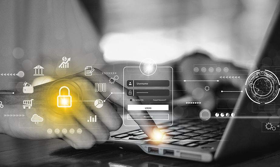 Cyber Laws